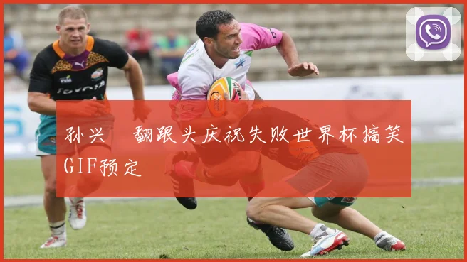 孙兴慜翻跟头庆祝失败世界杯搞笑GIF预定