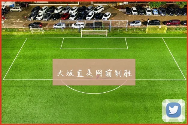 大坂直美网前制胜